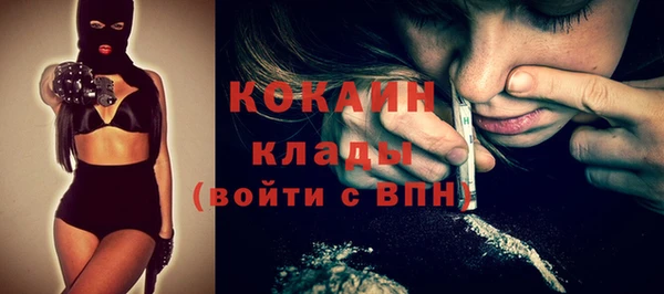 индика Елизово