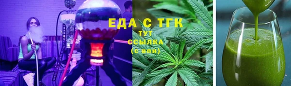 дмт Ельня