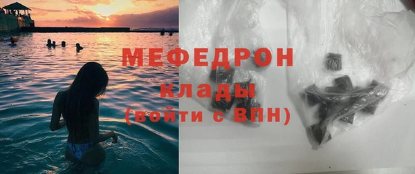 индика Елизово