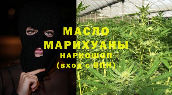 индика Елизово