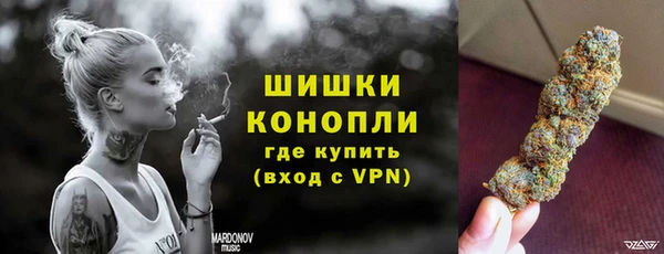 ПСИЛОЦИБИНОВЫЕ ГРИБЫ Заводоуковск