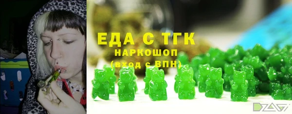 индика Елизово