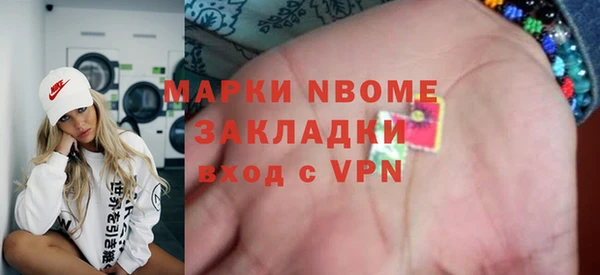 дмт Ельня