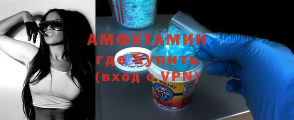 индика Елизово