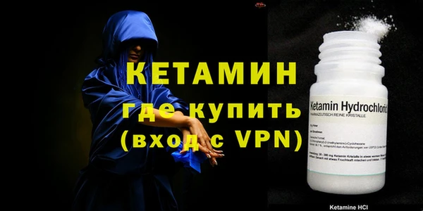 дмт Ельня