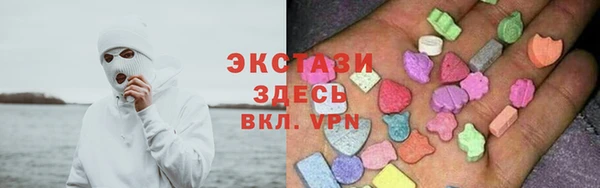 дмт Ельня
