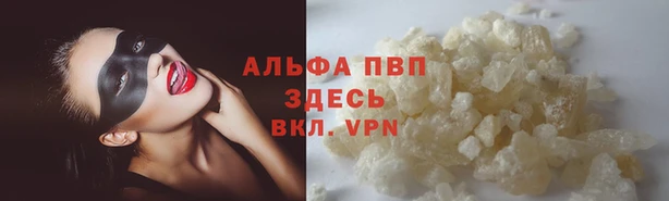 индика Елизово