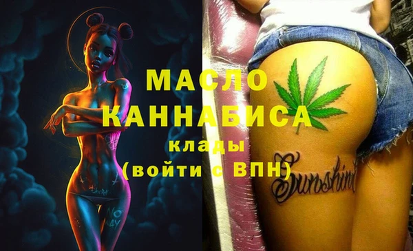 индика Елизово