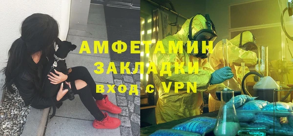 дмт Ельня