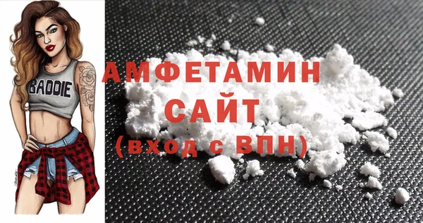 дмт Ельня