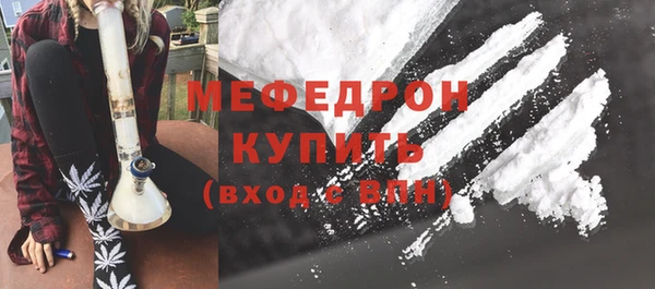 индика Елизово
