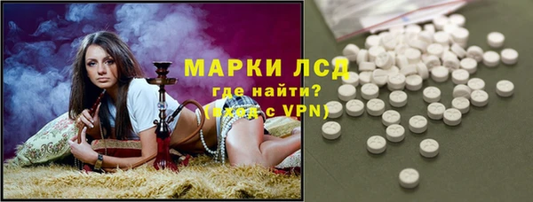 дмт Ельня