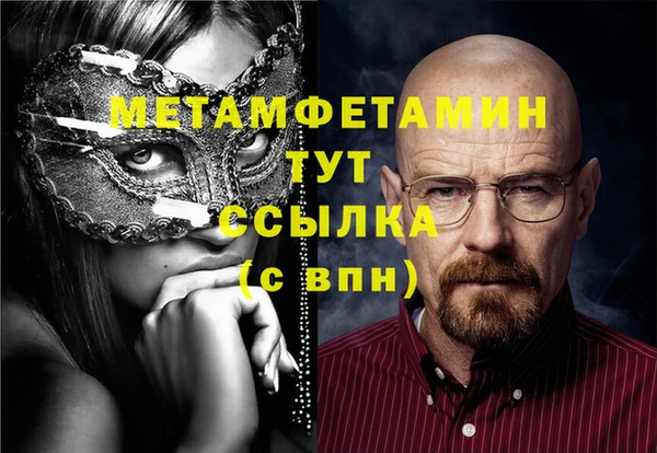 индика Елизово