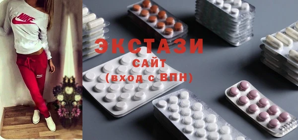индика Елизово