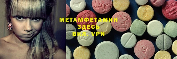 индика Елизово
