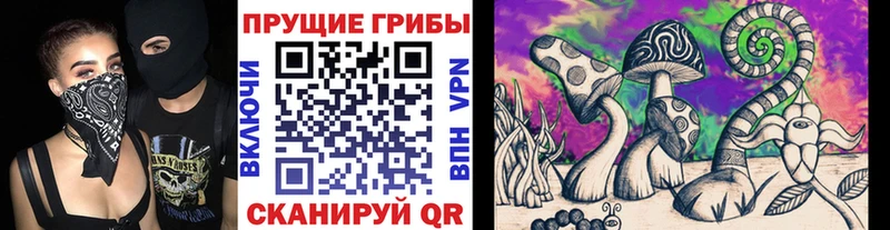 Галлюциногенные грибы мицелий Урус-Мартан