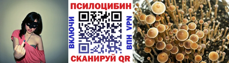Галлюциногенные грибы Cubensis Урус-Мартан